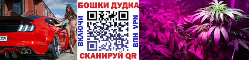 Меф Санкт-Петербург