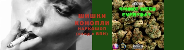 шишки Алексеевка