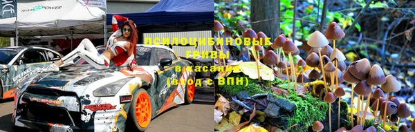 шишки Алексеевка