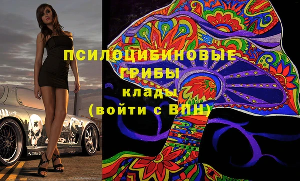 шишки Алексеевка